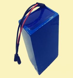 電動(dòng)車(chē)鋰電池36v 12ah 兩輪電動(dòng)車(chē)電瓶,電動(dòng)車(chē)鋰電池36v 12ah 兩輪電動(dòng)車(chē)電瓶生產(chǎn)廠家,電動(dòng)車(chē)鋰電池36v 12ah 兩輪電動(dòng)車(chē)電瓶?jī)r(jià)格